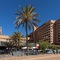 Hotel Las Palmeras Affiliated By Fergus - map