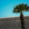 The Phoenicia Malta - map