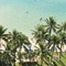 Park Shore Waikiki - map