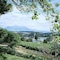 The Devon Valley Hotel - map