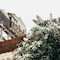 Chattanooga Choo Choo - map