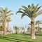 Grecotel Creta Palace - map
