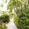 Bay View Suites Paradise Island - map