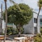 Courtyard By Marriott Aruba Resort - map