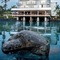 Keauhou Beach Resort - map