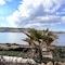 Apartamentos El Bergantin Menorca Club (Adults+16) - map