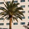 Novotel Casablanca City Center - map