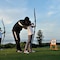 Pullman Mazagan Royal Golf & Spa El Jadida - map
