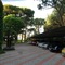 Hotel Beau Rivage Pineta - map