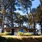 Hotel Misión Grand Valle De Bravo - map