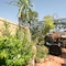 Riad Africa - map