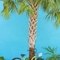 Holiday Inn Key Wester - map