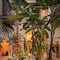 Riad 72 - map