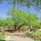The Lodge At Ventana Canyon - map