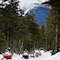 Omni Mount Washington Resort & Spa - map
