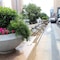 Crowne Plaza Shenyang Parkview - map