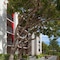 Avatar Hotel Santa Clara, Tapestry Collection By Hilton - map