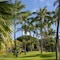 Luana Waikiki Hotel & Suites - map