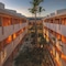 Paradisus Los Cabos Adults Only - map