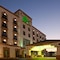 Holiday Inn Leon - map