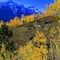 Hyatt Regency Calgary - map