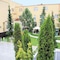 Hotel Spa Faltom Gdynia Rumia - map