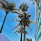 Lani Kai Beachfront Resort - map