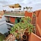 Riad Dar El Grably - map