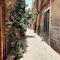Riad Lauriers Blancs - map