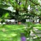Hotel Juliane - map