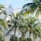 Parrot Key Hotel & Villas - map