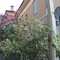 B&B Accorsi - map