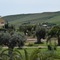 Desusino Residence & Hotel - map