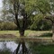Adonis Arles By Olydea - map