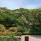 El Mangroove Papagayo, Autograph Collection - map