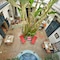 Riad Aloès Marrakech - map