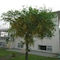 Alba Guesthouse - map