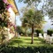 Hotel Susy - map