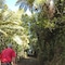 Waitakere Resort & Spa - map