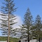 Sierra Beachfront Motel - map