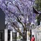Park Hyatt Johannesburg - map
