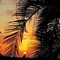 Adventure In Paradise - map