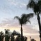 Sky Palm Motel - map