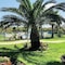 Days Inn By Wyndham Port Aransas Tx - map