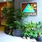 Wellness Forest Ito - map
