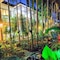 Oasis Hakuna Matata Hotel - map