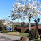 Hume Country Motor Inn - map
