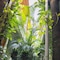 Árbol De Fuego Eco-Hotel, A Green Experience In The City - map