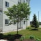 Motel 6 Kingston - map