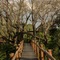 Mopane Bush Lodge - map